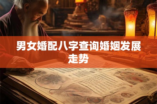 男女婚配八字查询婚姻发展走势