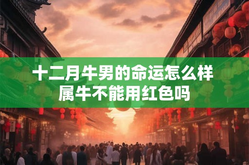 十二月牛男的命运怎么样 属牛不能用红色吗