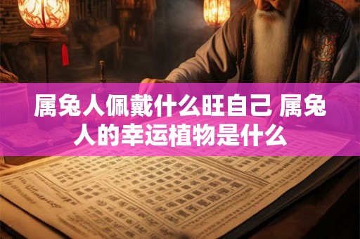 属兔人佩戴什么旺自己 属兔人的幸运植物是什么
