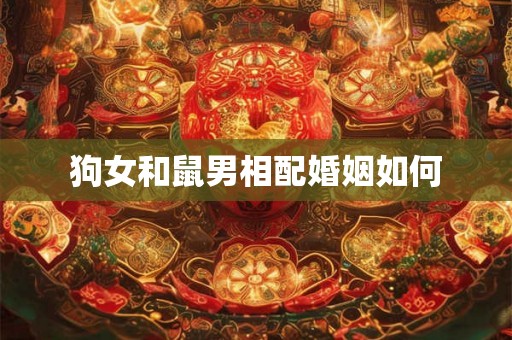 狗女和鼠男相配婚姻如何