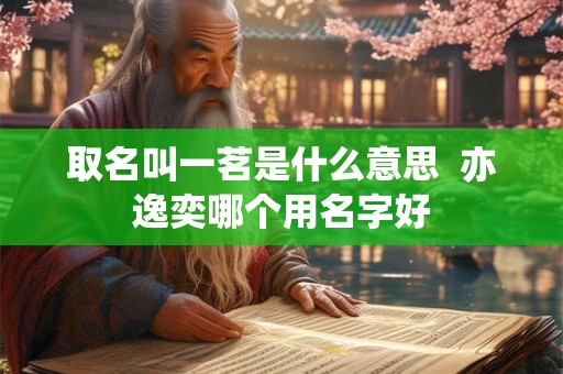 取名叫一茗是什么意思  亦逸奕哪个用名字好