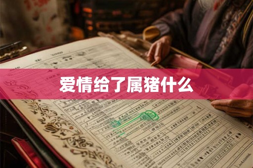 爱情给了属猪什么