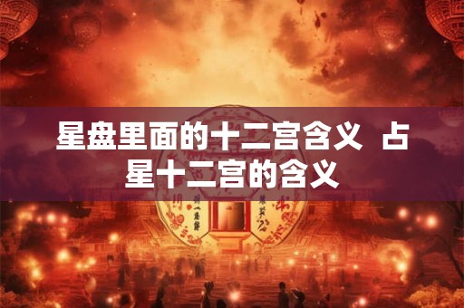 星盘里面的十二宫含义  占星十二宫的含义
