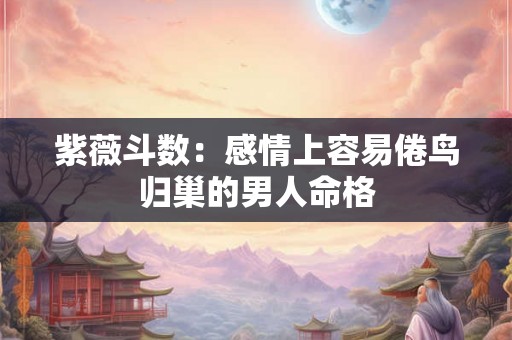 紫薇斗数：感情上容易倦鸟归巢的男人命格