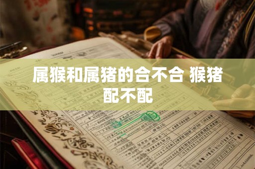 属猴和属猪的合不合 猴猪配不配