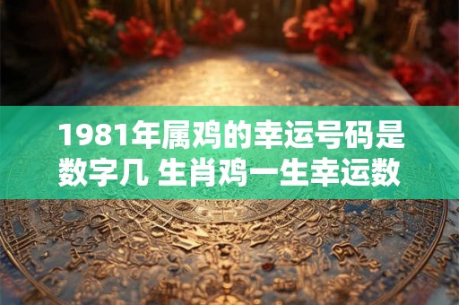 1981年属鸡的幸运号码是数字几 生肖鸡一生幸运数字详解