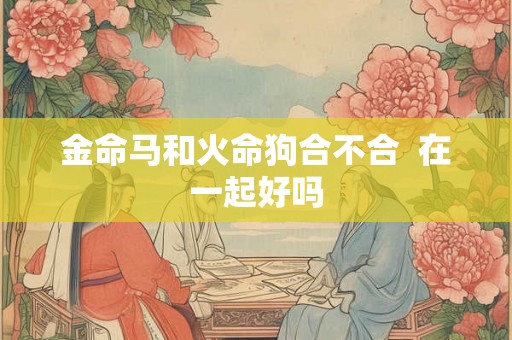 金命马和火命狗合不合  在一起好吗