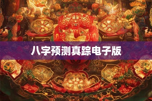八字预测真踪电子版