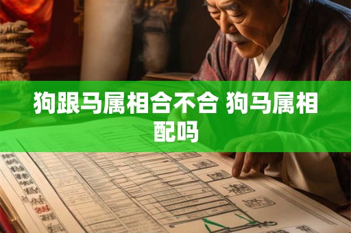 狗跟马属相合不合 狗马属相配吗 狗跟马属相合不合 狗马属相配吗