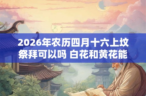 2026年农历四月十六上坟祭拜可以吗 白花和黄花能插在一起吗