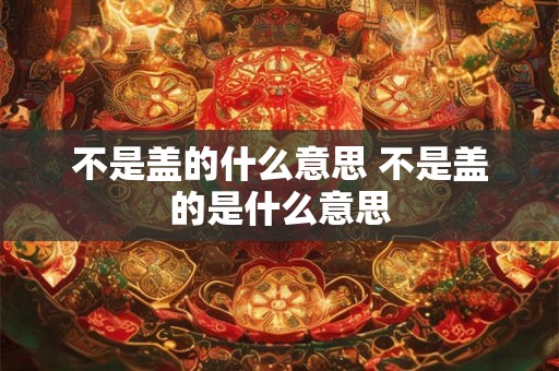 不是盖的什么意思 不是盖的是什么意思