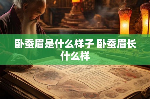 卧蚕眉是什么样子 卧蚕眉长什么样