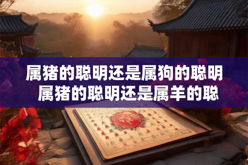 属猪的聪明还是属狗的聪明  属猪的聪明还是属羊的聪明