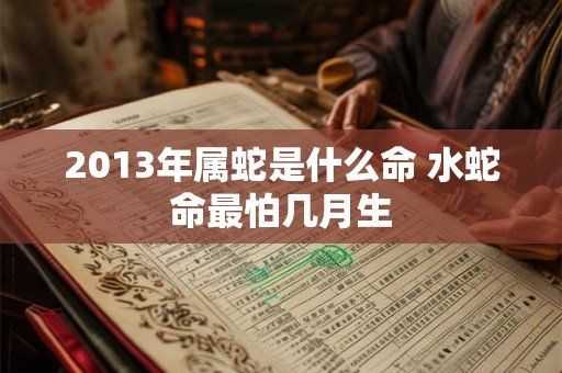 2013年属蛇是什么命 水蛇命最怕几月生 2013年属蛇是什么命 水蛇命最怕几月生