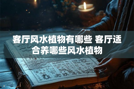 客厅风水植物有哪些 客厅适合养哪些风水植物