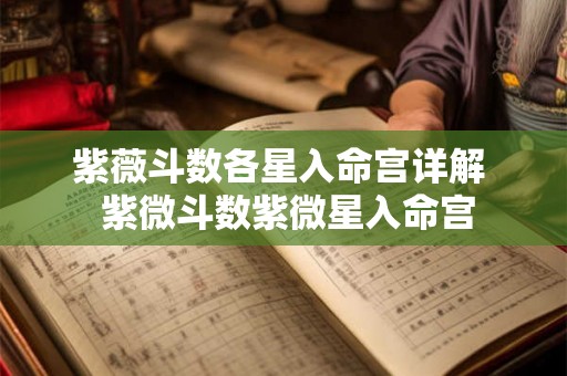 紫薇斗数各星入命宫详解  紫微斗数紫微星入命宫