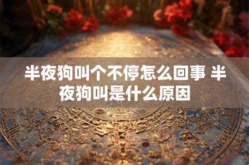 半夜狗叫个不停怎么回事 半夜狗叫是什么原因