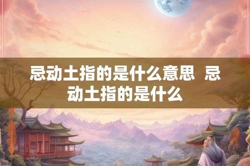 忌动土指的是什么意思  忌动土指的是什么