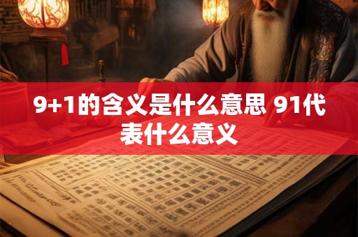 9+1的含义是什么意思 91代表什么意义