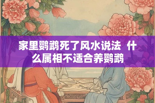 家里鹦鹉死了风水说法  什么属相不适合养鹦鹉
