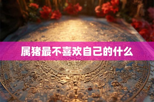 属猪最不喜欢自己的什么