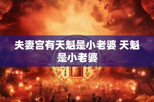 夫妻宫有天魁是小老婆 天魁是小老婆