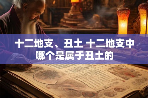 十二地支、丑土 十二地支中哪个是属于丑土的
