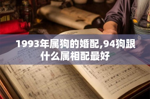1993年属狗的婚配,94狗跟什么属相配最好