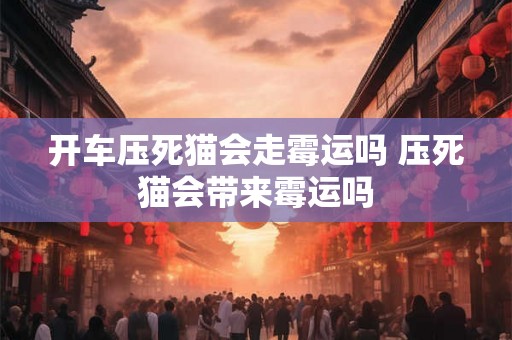 开车压死猫会走霉运吗 压死猫会带来霉运吗 开车压死猫会走霉运吗 压死猫会带来霉运吗