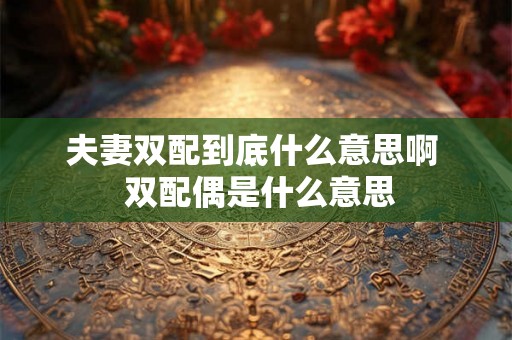 夫妻双配到底什么意思啊  双配偶是什么意思