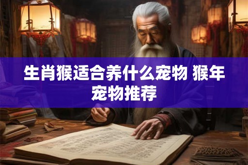 生肖猴适合养什么宠物 猴年宠物推荐