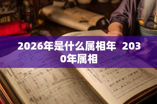 2026年是什么属相年  2030年属相