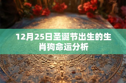 12月25日圣诞节出生的生肖狗命运分析