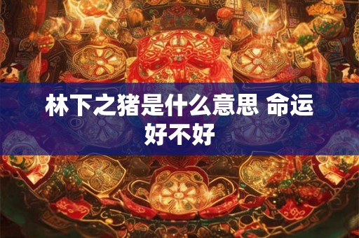 林下之猪是什么意思 命运好不好