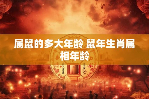 属鼠的多大年龄 鼠年生肖属相年龄