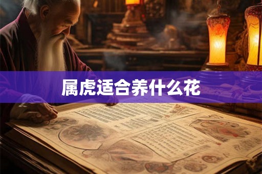 属虎适合养什么花