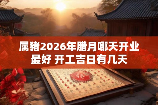 属猪2026年腊月哪天开业最好 开工吉日有几天