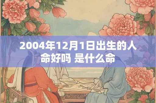 2004年12月1日出生的人命好吗 是什么命