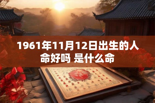 1961年11月12日出生的人命好吗 是什么命