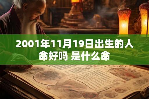 2001年11月19日出生的人命好吗 是什么命