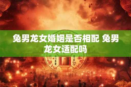 兔男龙女婚姻是否相配 兔男龙女适配吗