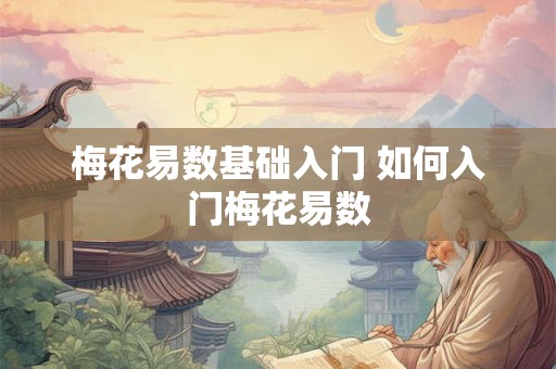 梅花易数基础入门 如何入门梅花易数