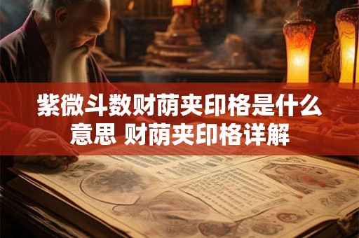 紫微斗数财荫夹印格是什么意思 财荫夹印格详解