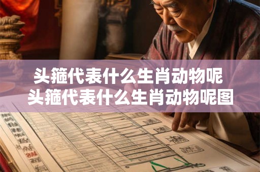 头箍代表什么生肖动物呢 头箍代表什么生肖动物呢图片