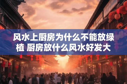 风水上厨房为什么不能放绿植 厨房放什么风水好发大财