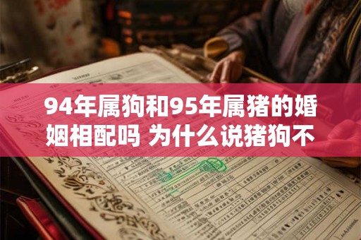 94年属狗和95年属猪的婚姻相配吗 为什么说猪狗不到头