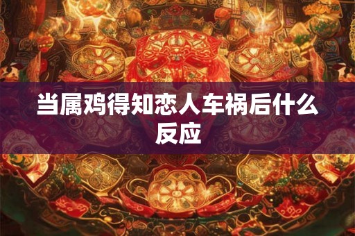 当属鸡得知恋人车祸后什么反应