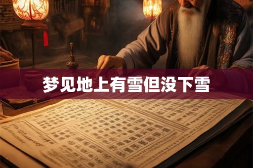 梦见地上有雪但没下雪