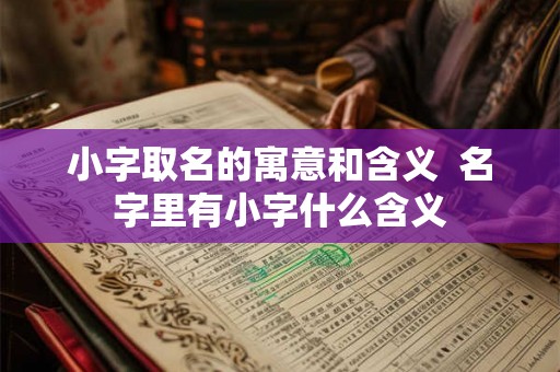 小字取名的寓意和含义  名字里有小字什么含义