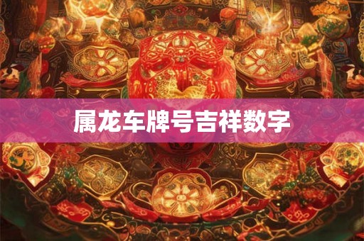 属龙车牌号吉祥数字